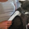 Veterinær-terapisæt til mindre dyr