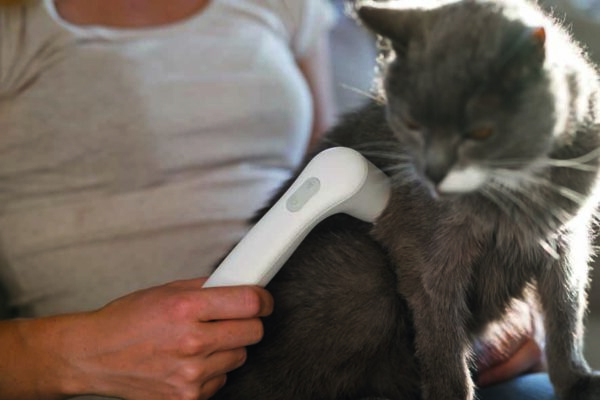 Veterinær-terapisæt til mindre dyr